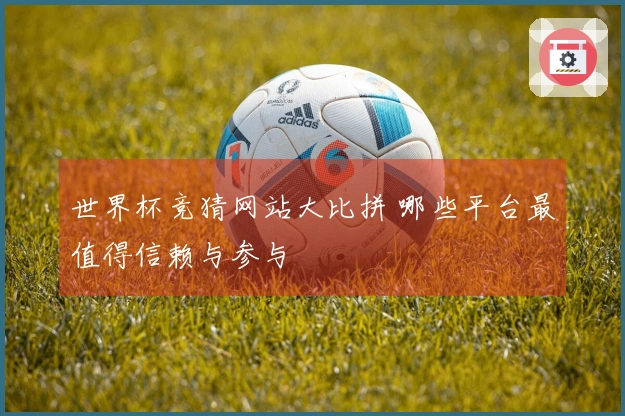 世界杯竞猜网站大比拼 哪些平台最值得信赖与参与