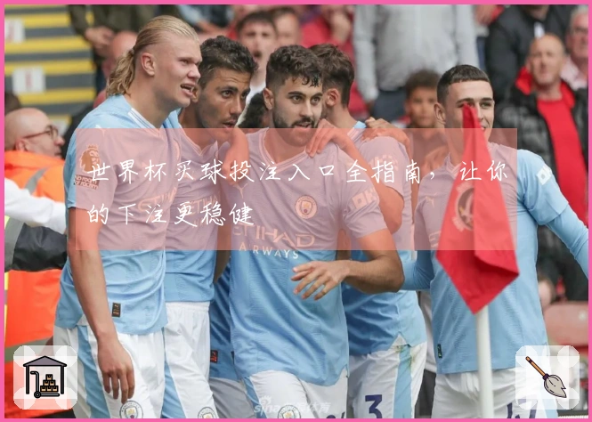 世界杯买球投注入口全指南，让你的下注更稳健