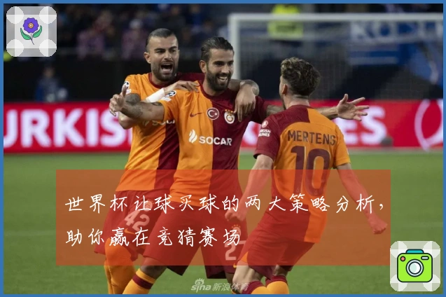 世界杯让球买球的两大策略分析，助你赢在竞猜赛场