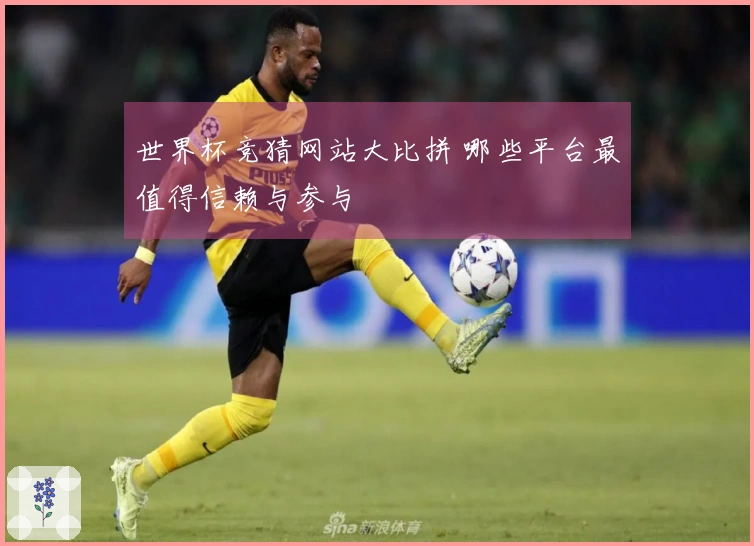 世界杯竞猜网站大比拼 哪些平台最值得信赖与参与