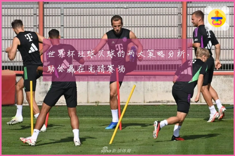 世界杯让球买球的两大策略分析，助你赢在竞猜赛场