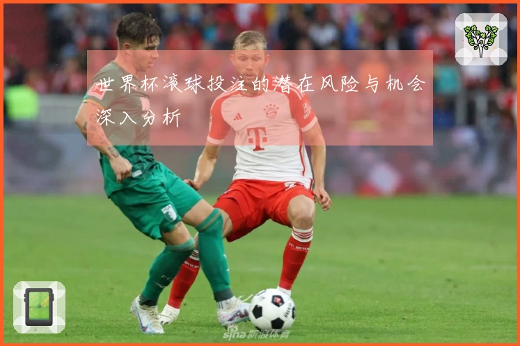 世界杯滚球投注的潜在风险与机会深入分析