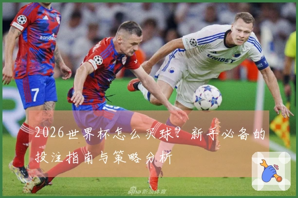 2026世界杯怎么买球？新手必备的投注指南与策略分析