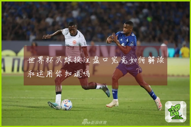 世界杯买球投注盘口究竟如何解读和运用你知道吗