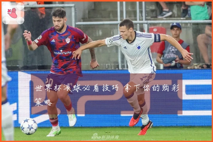世界杯滚球必看技巧 拿下你的购彩策略