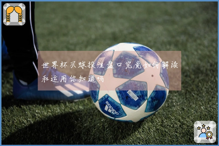 世界杯买球投注盘口究竟如何解读和运用你知道吗